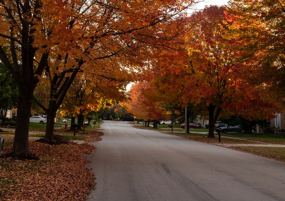 Residential street in DeForest, Wisconsin