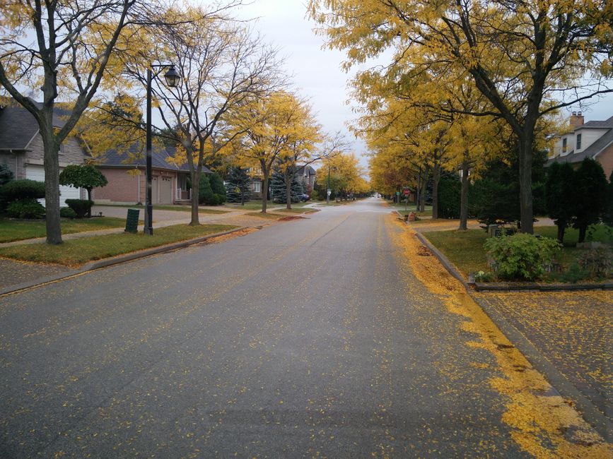 A residential neighborhood in Fitchburg, Wisconsin, south of Madison