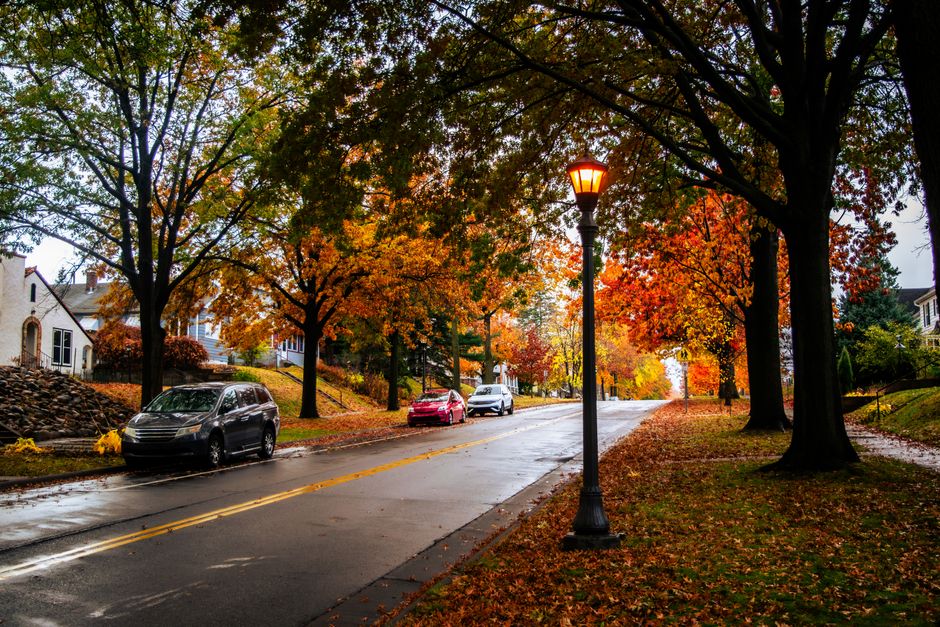 A residential street with autumn trees in a Wisconsin neighborhood