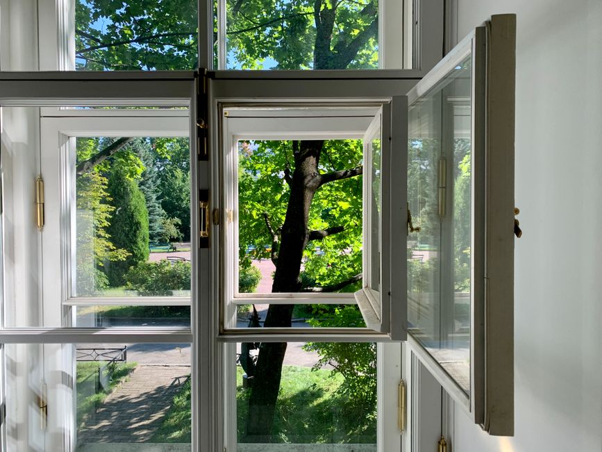 A hinged window well cover propped open from inside a basement window